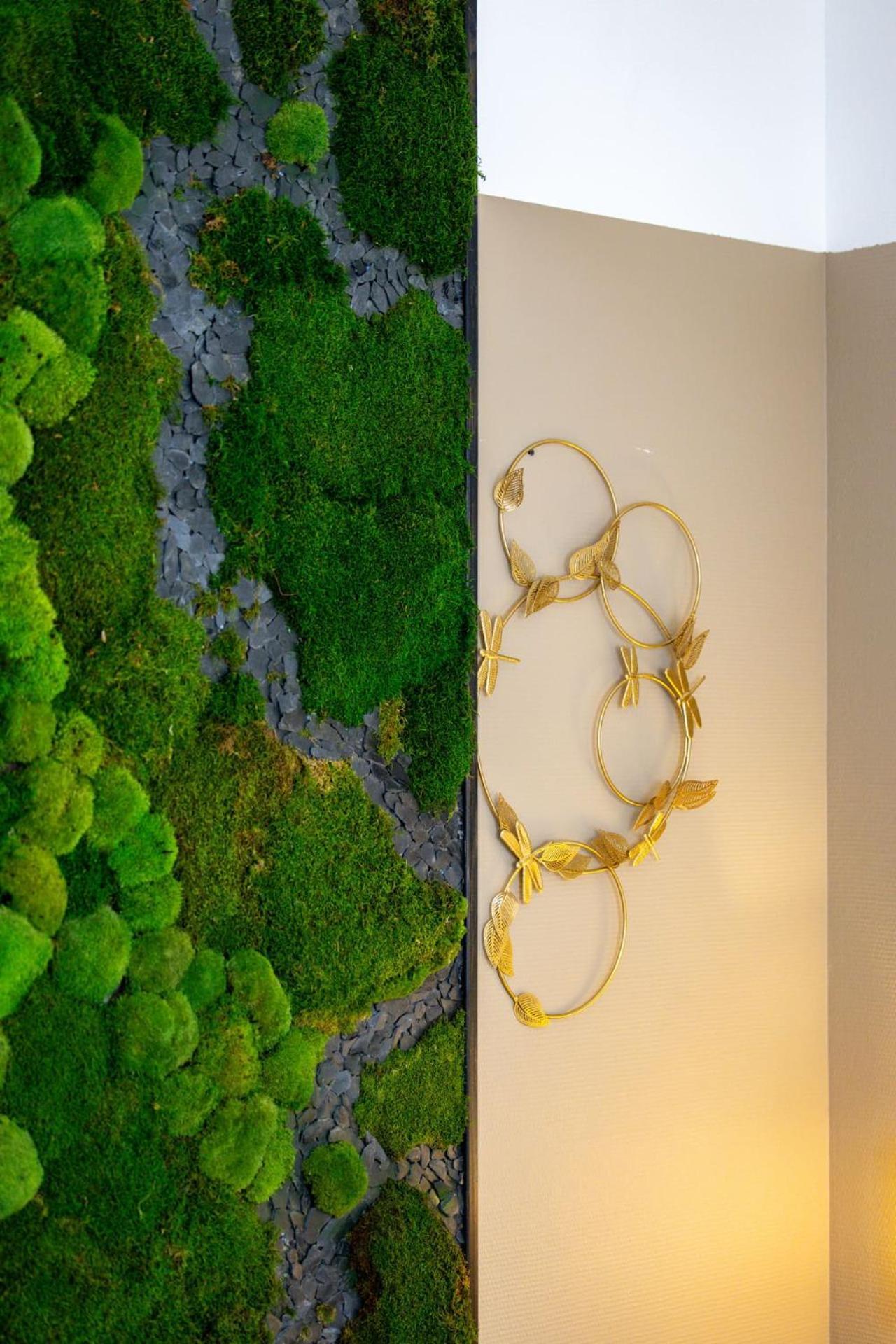 Le Lucien Eco-Appart'Hotel - Angouleme - Centre - Wifi - Parking Prive - Classe 4 Etoiles Exteriör bild